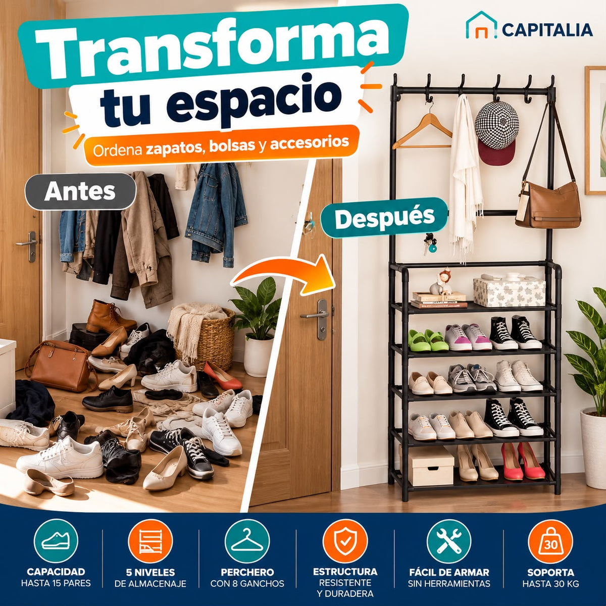 Organizador 2 en 1